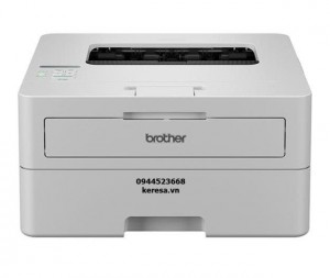 Máy in laser Brother HL-B2100d (A4 + In 2 mặt)